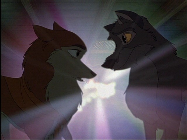 Balto Fotoğrafı
