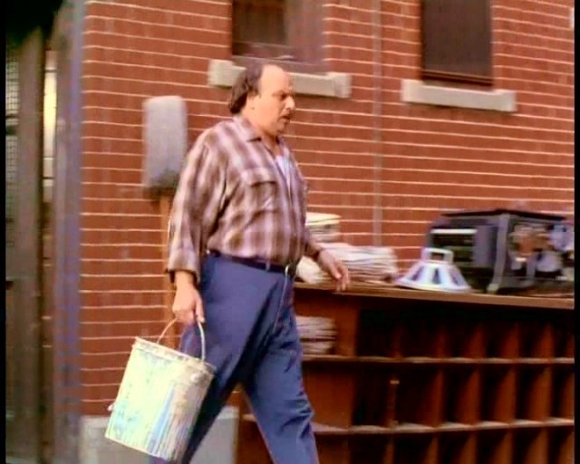 Amerikan Sığırı Fotoğrafı