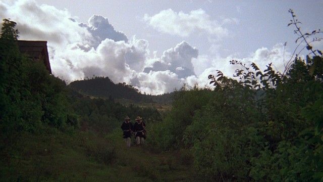 Kuzey Fotoğrafı