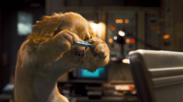 Kediler ve Köpekler Kitty Galore'un İntikamı Fotoğrafı