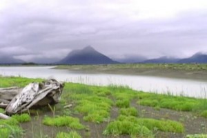 Ayı Adam Fotoğrafı