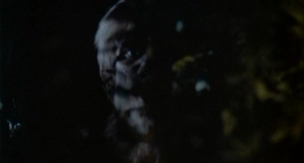 Gece Yaratıkları Fotoğrafı