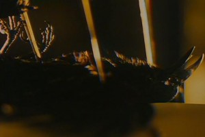 Karga 2 fotoğrafı