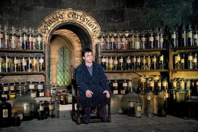 Harry Potter ve Zümrüdüanka Yoldaşlığı Fotoğrafı
