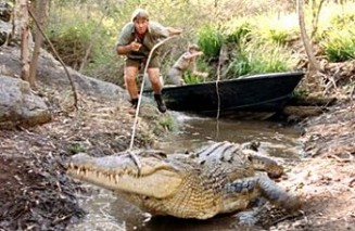 Timsah Avcısı: Zorlu Yol Fotoğrafı