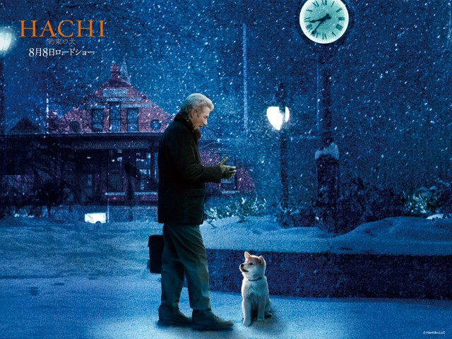 Hachi: Bir Köpeğin Hikayesi Fotoğrafı