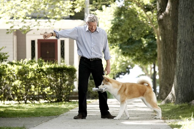 Hachi: Bir Köpeğin Hikayesi Fotoğrafları 9