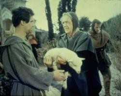 Francis Of Assisi Fotoğrafı