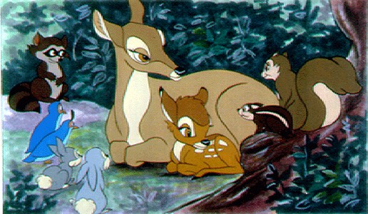 Bambi Fotoğrafları 14