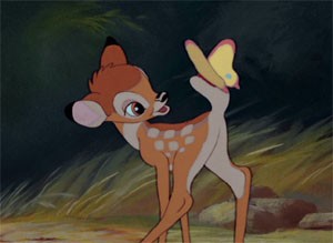 Bambi Fotoğrafları 16