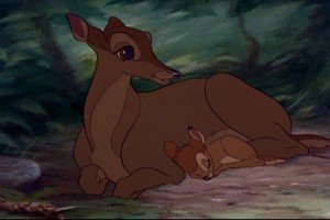 Bambi Fotoğrafları 30