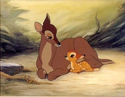 Bambi Fotoğrafları 41