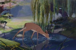 Bambi Fotoğrafları 1