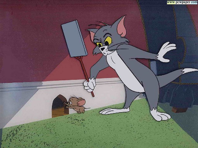 Tom ve Jerry Fotoğrafları 1