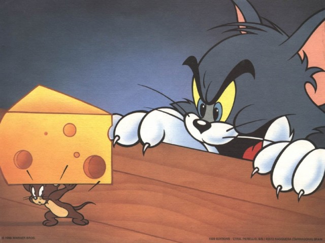 Tom ve Jerry Fotoğrafları 11