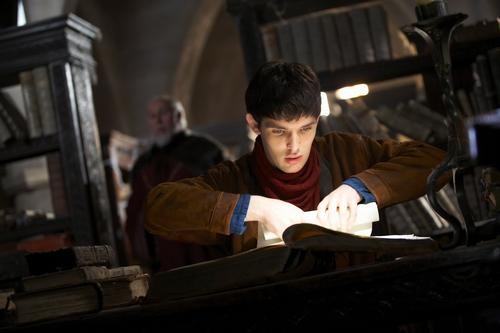 Merlin Fotoğrafı