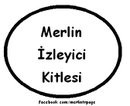 Merlin Fotoğrafı