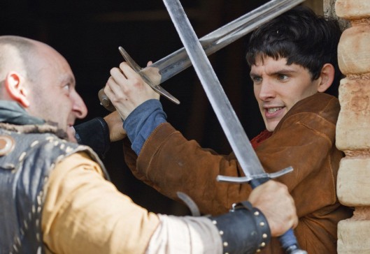 Merlin Fotoğrafı