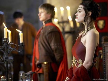 Merlin Fotoğrafı