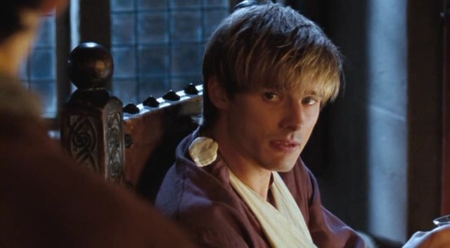 Merlin Fotoğrafı