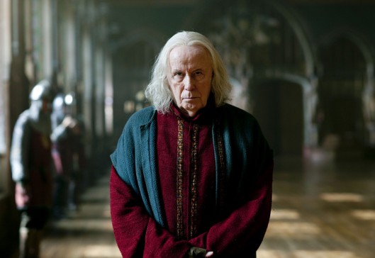 Merlin Fotoğrafı