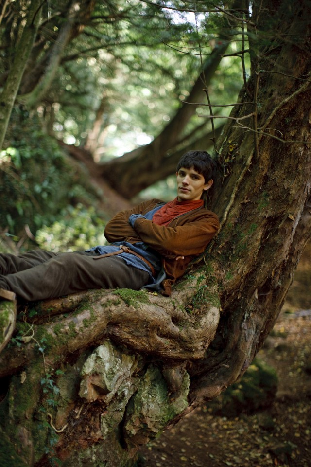 Merlin Fotoğrafı