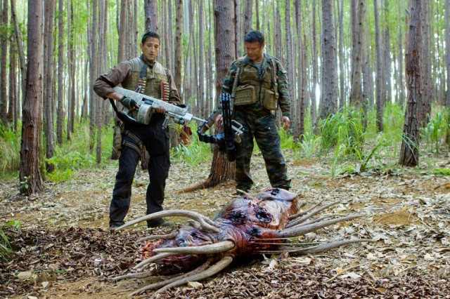 Predators Fotoğrafı