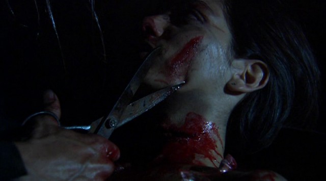 Bikini Girls On ıce Fotoğrafı