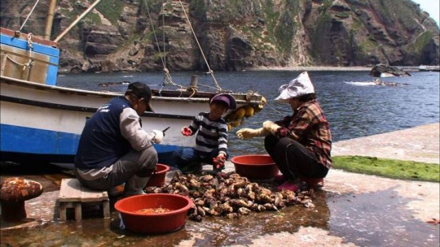 Sorry, Dokdo Fotoğrafı