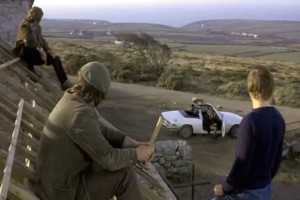 Köpekler Fotoğrafı