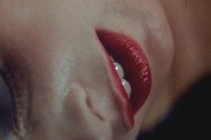 Mavi Kadife Fotoğrafı