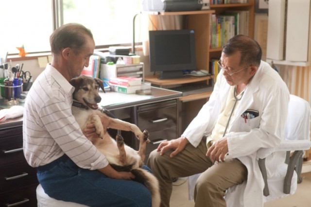 Dear Doctor Fotoğrafı