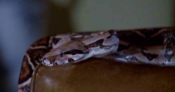 Sssssss Fotoğrafı