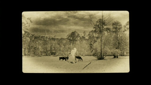 Benjamin Button'ın Tuhaf Hikayesi Fotoğrafı