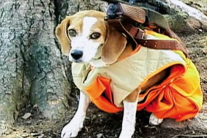 Benim Cici Silahım Fotoğrafı