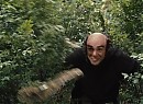 Şirinler Fotoğrafı