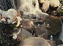 Şirinler Fotoğrafı