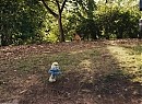 Şirinler Fotoğrafı