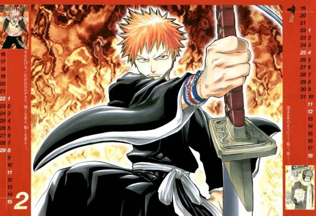 Bleach Fotoğrafı