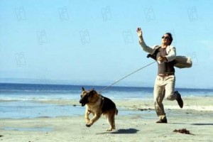 K-9 fotoğrafı