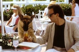 K-9 Fotoğrafı