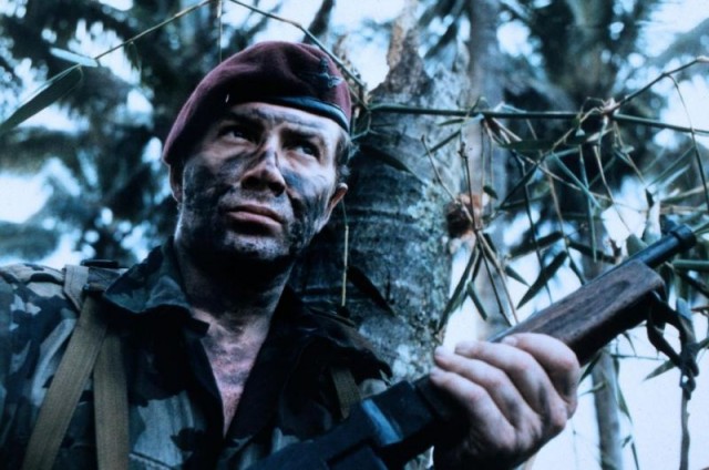 Yaban Kazları Fotoğrafı