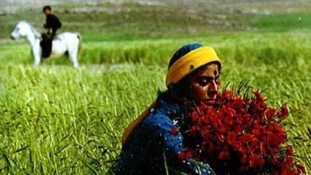 Halı fotoğrafı
