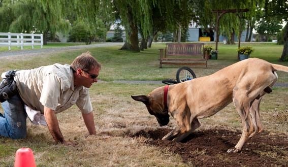 Marmaduke Fotoğrafı