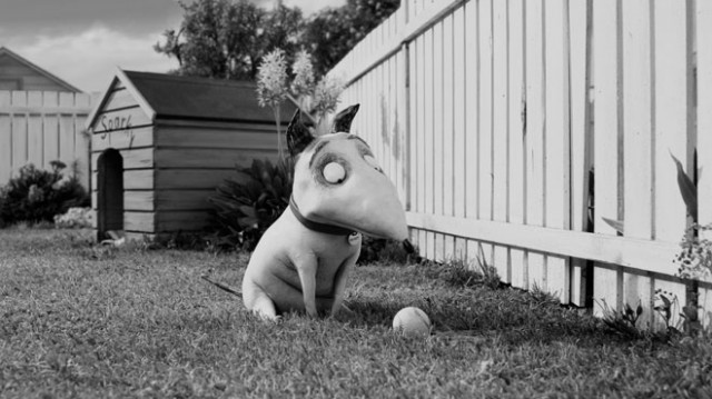 Frankenweenie Fotoğrafları 2