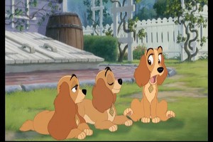 Lady And The Tramp II: Scamp's Adventure Fotoğrafları 8