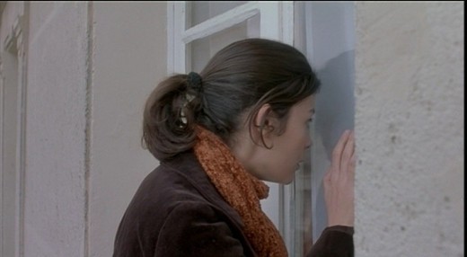 Bir Kelebeğin Kanat Çırpışı Fotoğrafı