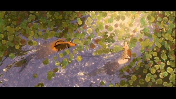 Özgür Ruh Fotoğrafı