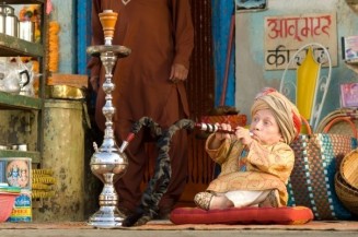 The Love Guru Fotoğrafı