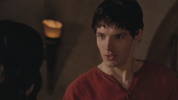 Merlin Fotoğrafı